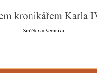 Výstřižek